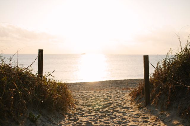 Pathway leading to calm beach with a sunset view. Ideal for travel and relaxation content, nature and landscape portfolio, or inspiration for peaceful getaways.