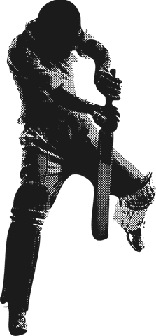 dynamic cricket player in powerful batting pose on transparent background - Download Free Stock Videos Pikwizard.com