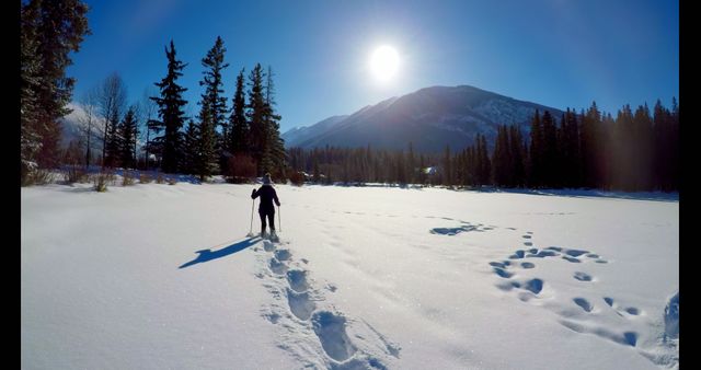 Person navigating through a snowy landscape with snowshoes on a bright, sunny day. Snow-capped mountains and tall pine trees frame the scene, creating a picturesque outdoor adventure. Could be used for travel blogs, outdoor sports advertisements, or winter vacation promotions.