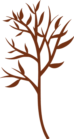 Stylized Brown Branch with Leaves Silhouette on Transparent Background - Download Free Stock Videos Pikwizard.com