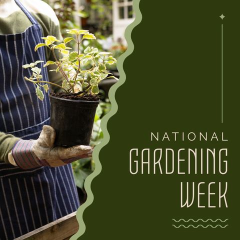 celebrating national gardening week with a plant enthusiast - Download Free Stock Templates Pikwizard.com