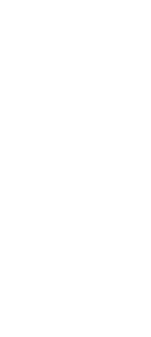 Silhouette of Muscular Male Swimmer on Transparent Background