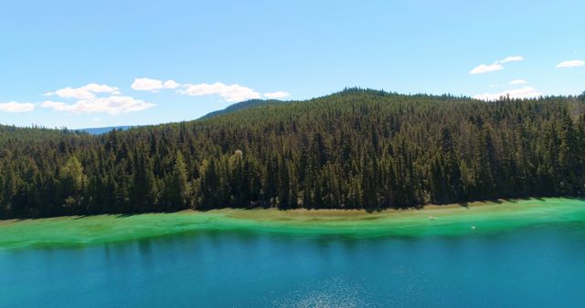 Aerial view captures stunning emerald green lake bordered by dense forest under clear blue sky. Perfect for travel blogs, scenic landscape posters, outdoor adventure advertisements, and tranquil nature-themed calendars.