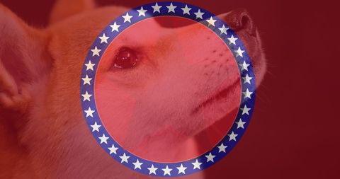 Celebrating national dog day with patriotic themed decorations