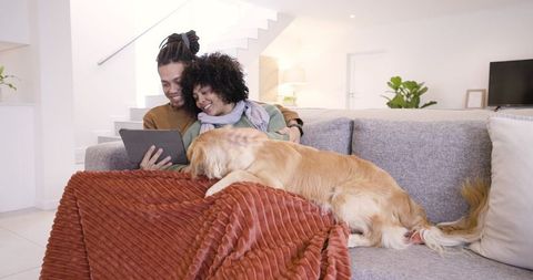 Happy couple using tablet on cozy sofa with golden retriever and rust velvet throw
