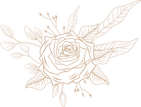 Elegant rose blossom in cream line art on transparent background