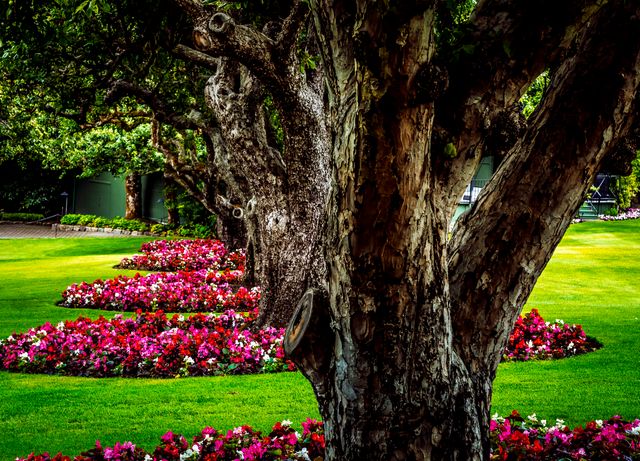 Scenic Garden with Colorful Flowerbeds and Majestic Trees - Download Free Stock Photos Pikwizard.com