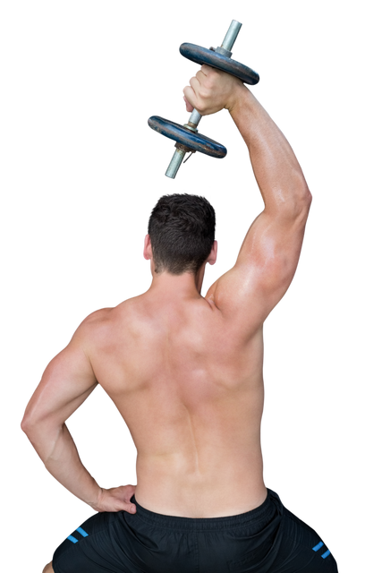 Shirtless Man Exercising with Dumbbell on Transparent Background - Download Free Stock Videos Pikwizard.com