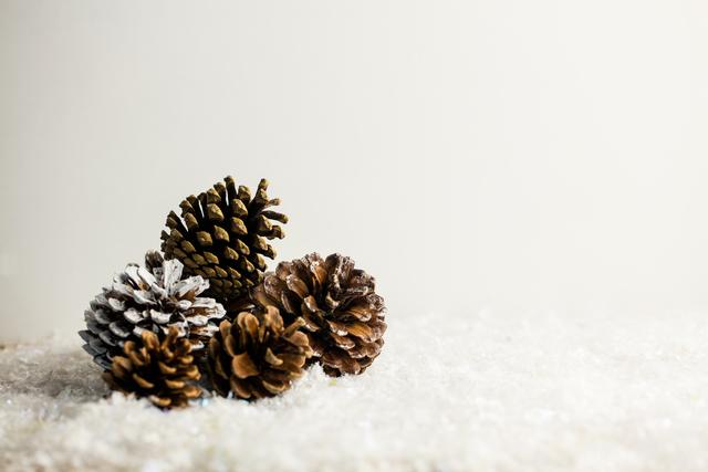 Pine cones resting on a snowy surface, perfect for Christmas and winter-themed decorations. Ideal for use in holiday cards, festive invitations, seasonal advertisements, and winter-themed crafts.