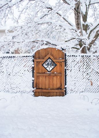 Wooden Gate in Winter Wonderland Garden