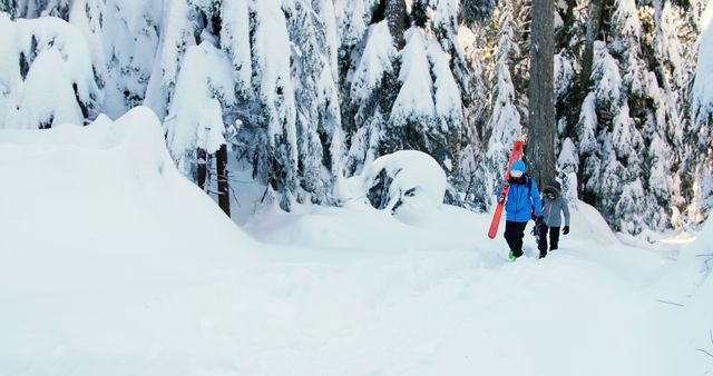 Two children are hiking through a snowy forest. The landscape is clad in thick snow, and tall trees with snow-covered branches surround the children. The scene represents winter adventure, outdoor activities, and the joy of exploration in nature. This image is ideal for use in articles, blogs, and advertisements focused on winter sports, family activities, and nature exploration.