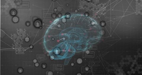 Visualizing neural network brain hologram with interactive user avatars and data analytics
