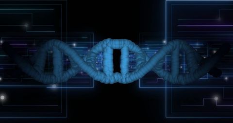 DNA and Binary Code Fusion Visualizing Biotech Synergy - Download Free Stock Images Pikwizard.com