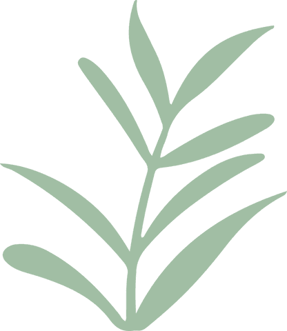 minimalist botanical vector with green leaves on transparent background - Download Free Stock Videos Pikwizard.com