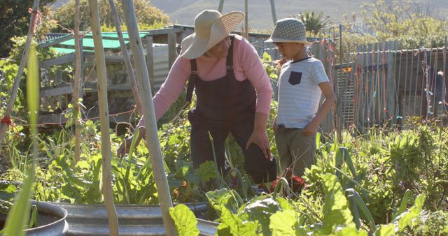 Woman and Boy Gardening Together on a Sunny Day - Download Free Stock Images Pikwizard.com