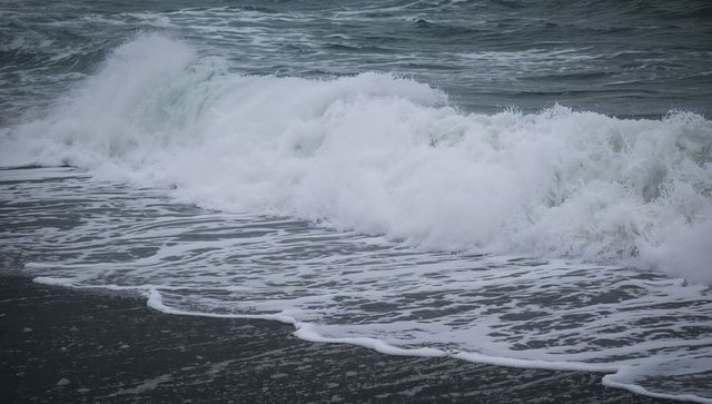 Breaking ocean wave rolling onto dark sand shore leaving sea foam, moody overcast seascape