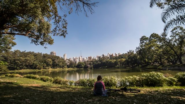 Person sitting by tranquil lake in urban park with city skyline visible in the background. Surrounded by trees and greenery, enjoying a peaceful moment outdoors. Ideal for illustrating concepts of work-life balance, stress relief, or outdoor activities in urban settings.