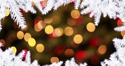 Christmas White Fir with Blurred Holiday Lights Background - Download Free Stock Images Pikwizard.com