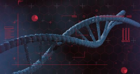 Futuristic DNA Strand with Data Interface Elements - Download Free Stock Images Pikwizard.com