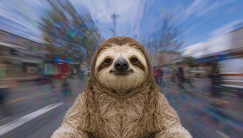 Smiling sloth cruising busy city street with radial motion blur and serene expression