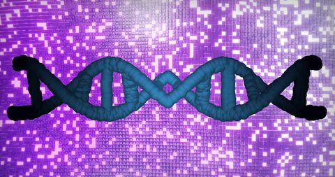 DNA Strand and Digital Binary Code, Integration of Science and Technology - Download Free Stock Images Pikwizard.com