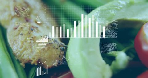Health and Wellness Data Overlay on Fresh Salad
