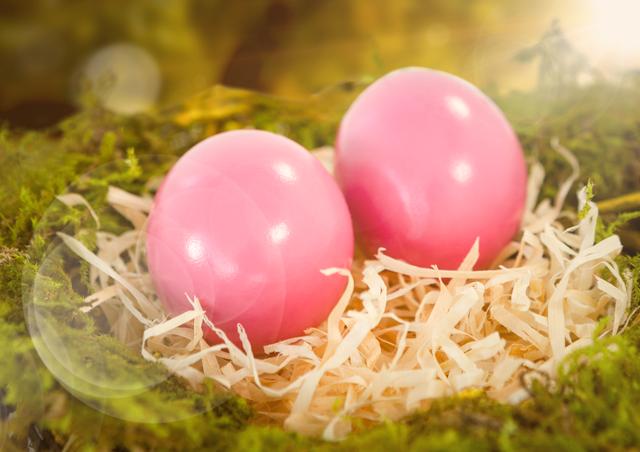 Pink Easter Eggs Nestled in Mossy Nest under Sunny Light - Download Free Stock Photos Pikwizard.com