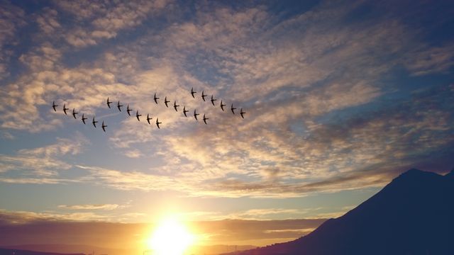 Birds fly in V formation across vibrant sky during sunset with mountain silhouette in background. Great for nature and landscape themes, travel brochures, educational materials, and inspiration for teamwork and coordination.
