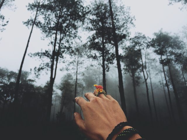 Hand is reaching out towards tall trees in a misty forest, creating a moody atmosphere. Bracelet and floral ring add details. Great for themes of exploration, adventure, nature, mindfulness, and mystery.