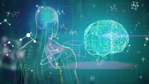 Futuristic Medical Brain Study with Data Visualization