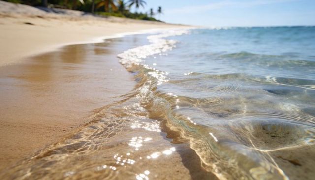 Glassy surf lapping wet rippled sand at tropical palm-lined shore with sunlight sparkle