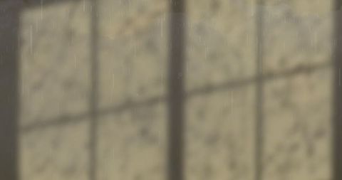 Abstract Shadows of Rainy Day on Grey Wall - Download Free Stock Images Pikwizard.com