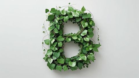 Green Vine Sculpture Forming Letter B with Delicate Leaves