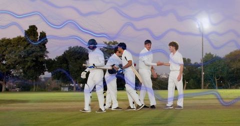 Cricket players shaking hands on twilight pitch under floodlight showing team sportsmanship