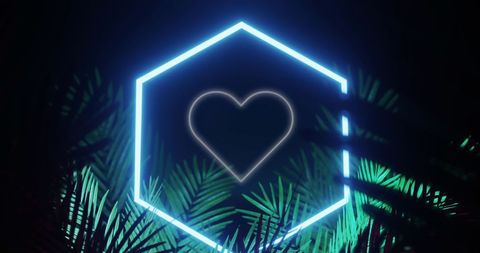 Neon heart icon with palm leaves on dark background
