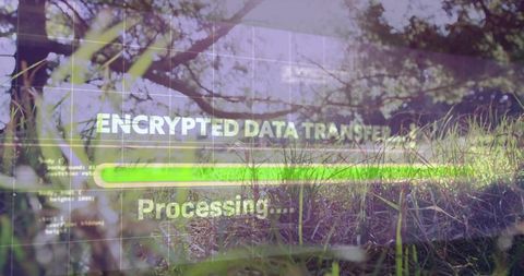Transferring encrypted data across meadow with progress bar, double exposure interface