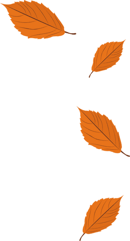 transparent autumn leaves drifting in fall seasonal background - Download Free Stock Videos Pikwizard.com