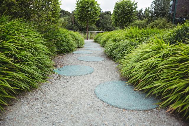 Serene Stepping Stone Path in Lush Garden - Download Free Stock Photos Pikwizard.com