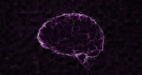 Glowing Digital 3D Brain in Purple Light Effect - Download Free Stock Images Pikwizard.com