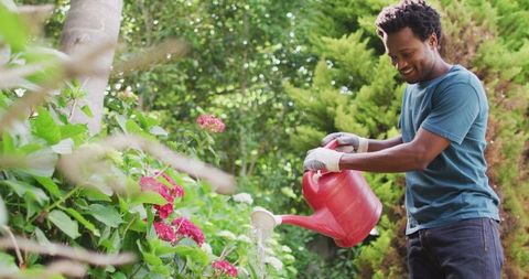 Man Enjoying Gardening, Watering Flowers With Red Watering Can