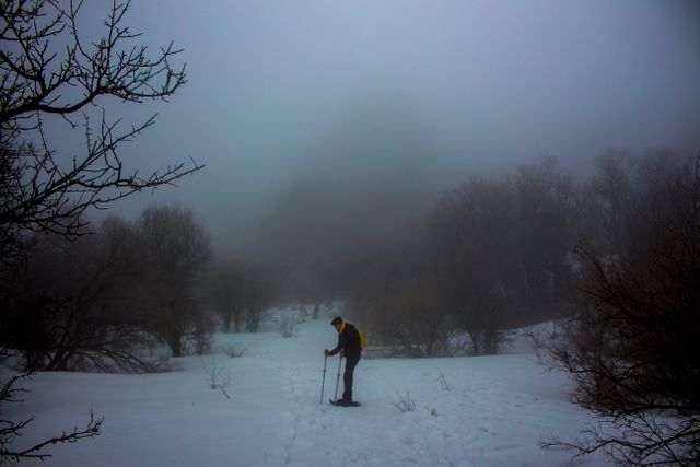 Winter Hiker in Foggy Snow-Covered Forest - Download Free Stock Photos Pikwizard.com