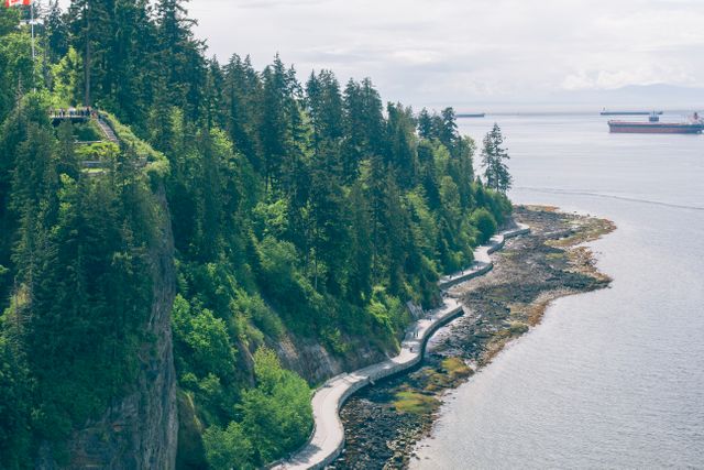 Lush green coastal cliffside with tall trees along a winding walking path above an expansive ocean. Suitable for travel blogs, nature-inspired content, relaxation and wellness themes, and environmental awareness campaigns.