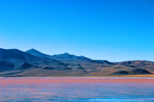 Majestic Andean Mountains Overlook Red Brackish Lake Under Blue Sky - Download Free Stock Photos Pikwizard.com