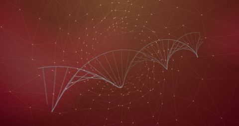 DNA Strand Overlaid with Network of Connections on Red Background - Download Free Stock Images Pikwizard.com