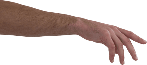 Isolated Human Arm Reaching with Transparent Background - Download Free Stock Videos Pikwizard.com