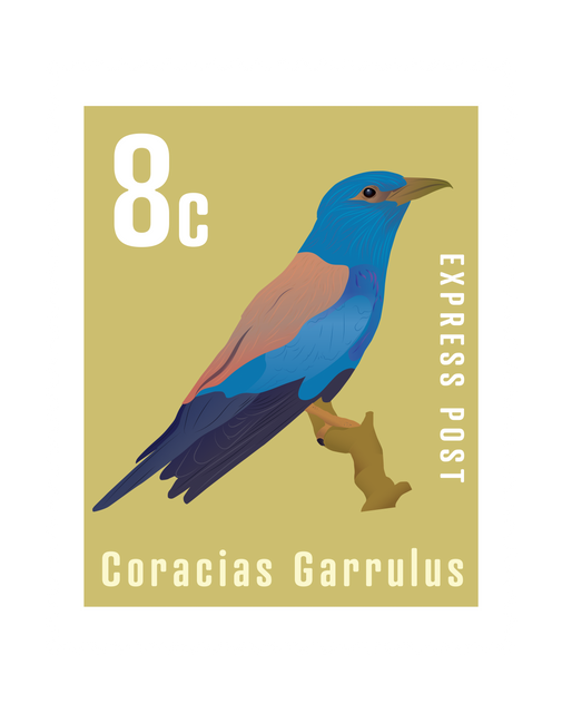 Transparent Bird Postage Stamp Digital Illustration - Download Free Stock Videos Pikwizard.com