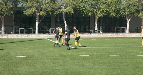 Team Training Drills on Lush Green Soccer Field Fostering Coordination