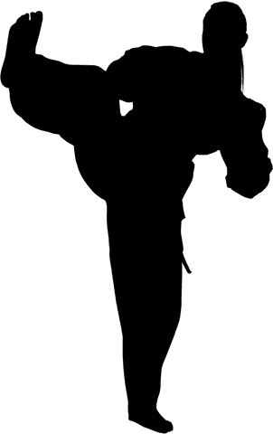 Silhouette of martial artist kicking on transparent background