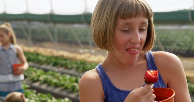 Caucasian girl enjoys a strawberry at a farm, with copy space. Outdoor setting captures the joy of fresh produce and simple pleasures.