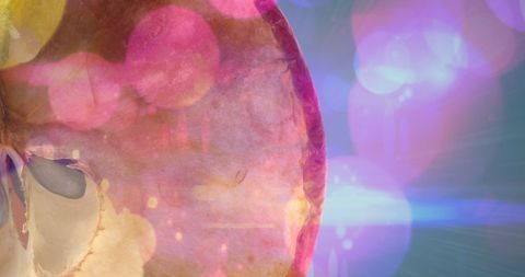 Creative Bokeh and Apple Slice Contrast with Vibrant Colors